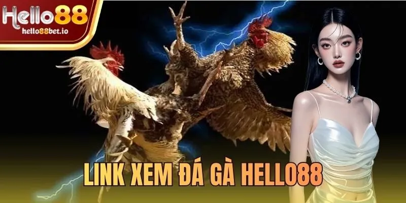 link xem đá gà Hello88